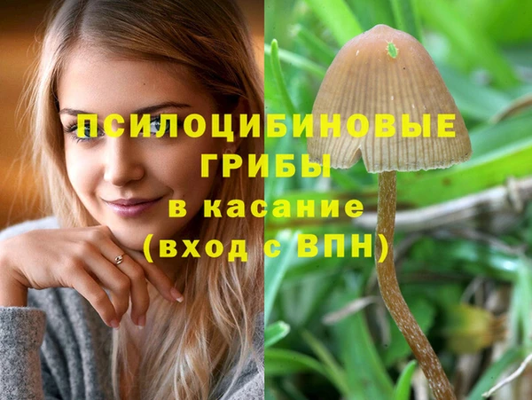 хмурый Алексеевка